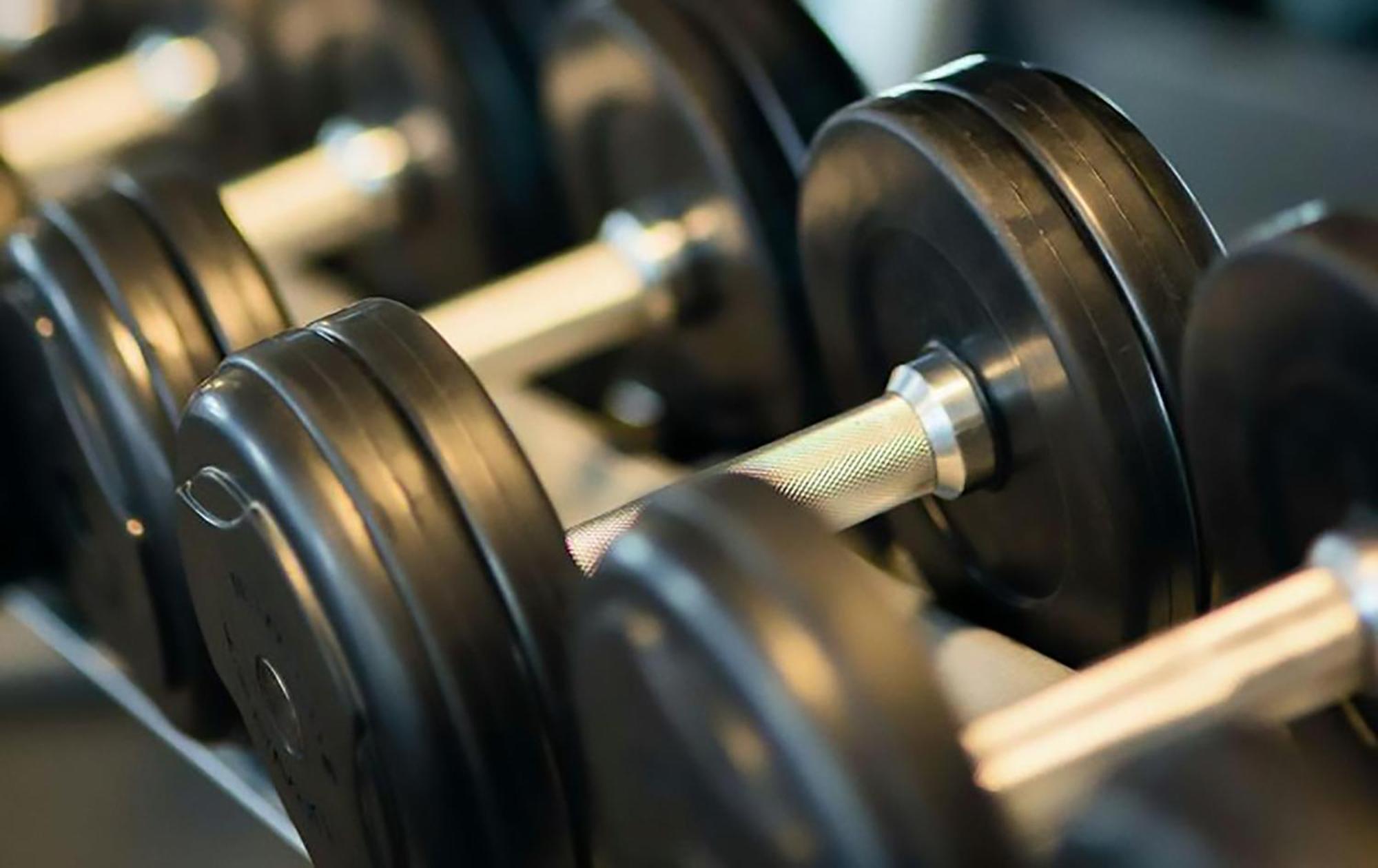 Bergamo Inn 15 Экстерьер фото Dumbbells